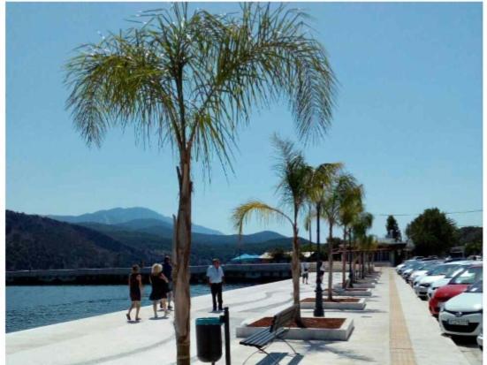 Elektra'S Apartment Central With Parking Argostoli  Ngoại thất bức ảnh